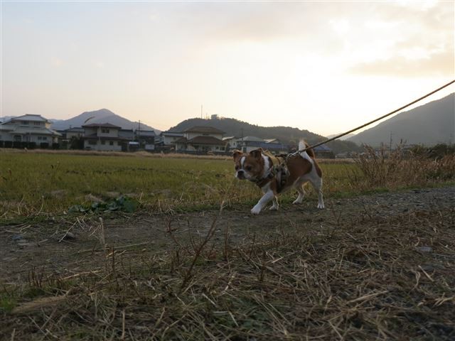 f:id:yasukazu01:20131207223629j:image