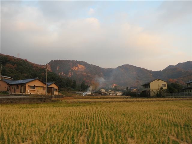 f:id:yasukazu01:20131207224139j:image