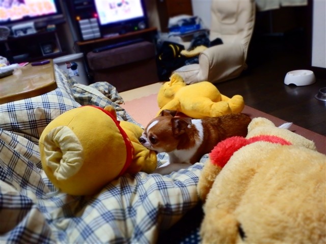 f:id:yasukazu01:20131215230056j:image
