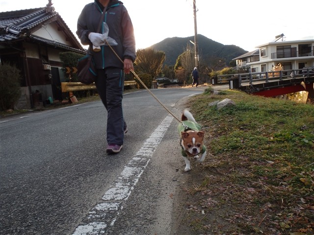 f:id:yasukazu01:20131218202021j:image