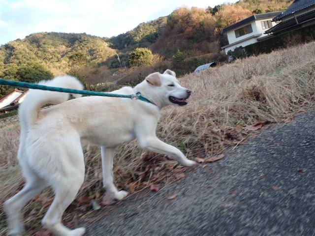 f:id:yasukazu01:20131218202427j:image