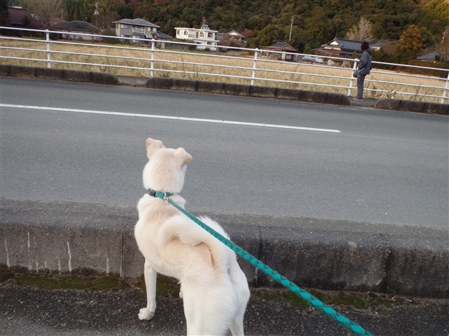 f:id:yasukazu01:20131218202821j:image