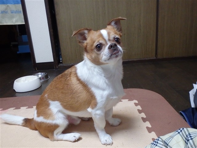 20131220225113