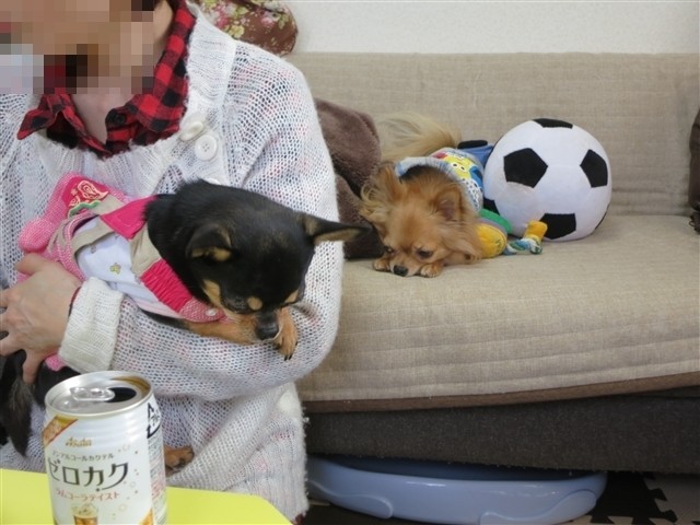 f:id:yasukazu01:20131224224309j:image