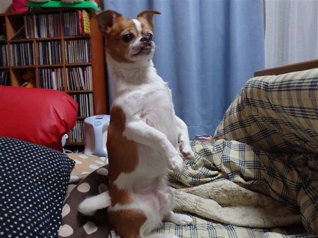 f:id:yasukazu01:20131230223040j:image