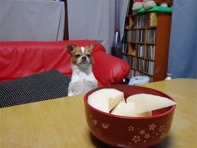 f:id:yasukazu01:20131230223326j:image
