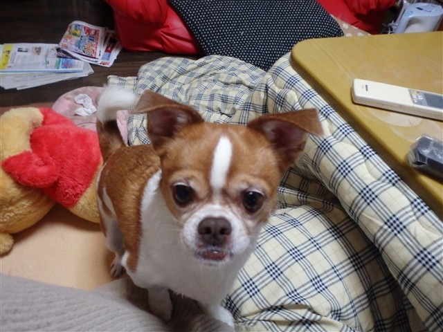 20131230223436