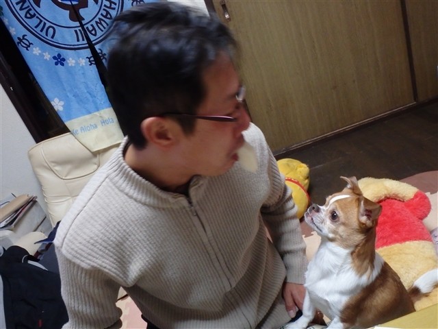 f:id:yasukazu01:20131230224220j:image