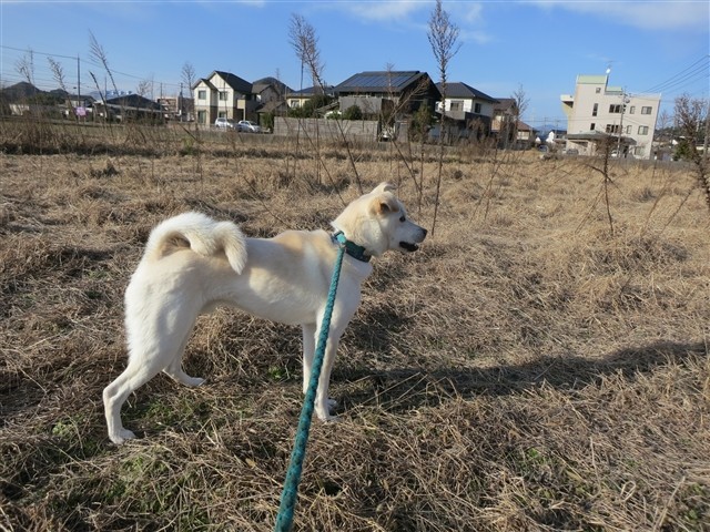 f:id:yasukazu01:20140102222523j:image