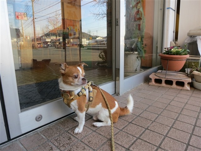 f:id:yasukazu01:20140102222718j:image