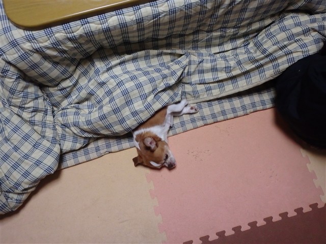 f:id:yasukazu01:20140103224516j:image