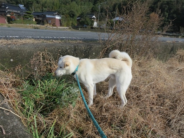 20140104081553