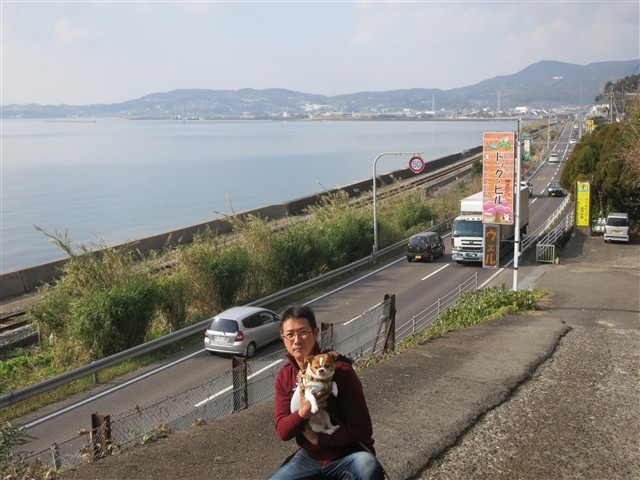 f:id:yasukazu01:20140106203745j:image