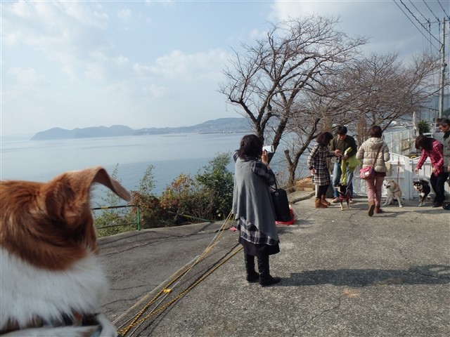 f:id:yasukazu01:20140106204026j:image