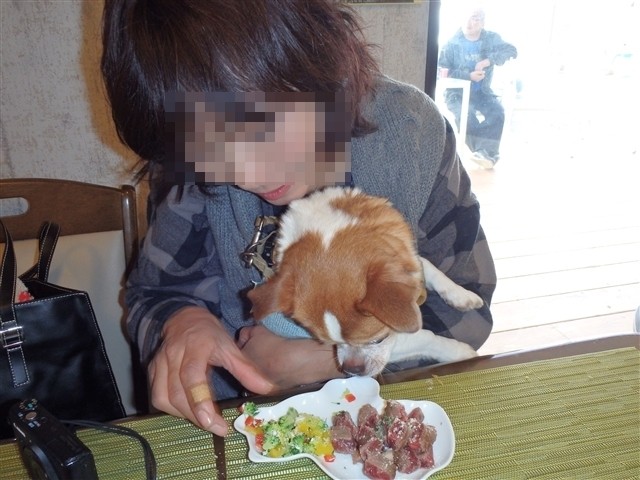 20140107230409