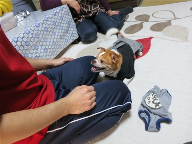 20140108202318