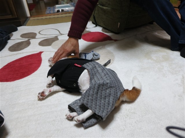 20140108202915