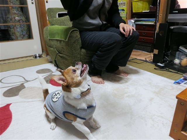 f:id:yasukazu01:20140109222748j:image