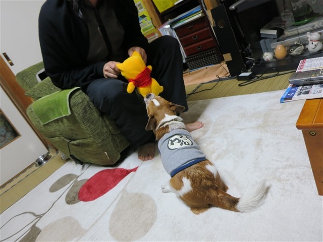 f:id:yasukazu01:20140109222958j:image