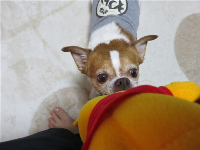 f:id:yasukazu01:20140109223034j:image