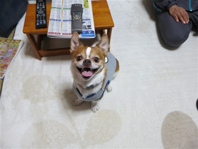 f:id:yasukazu01:20140109223506j:image