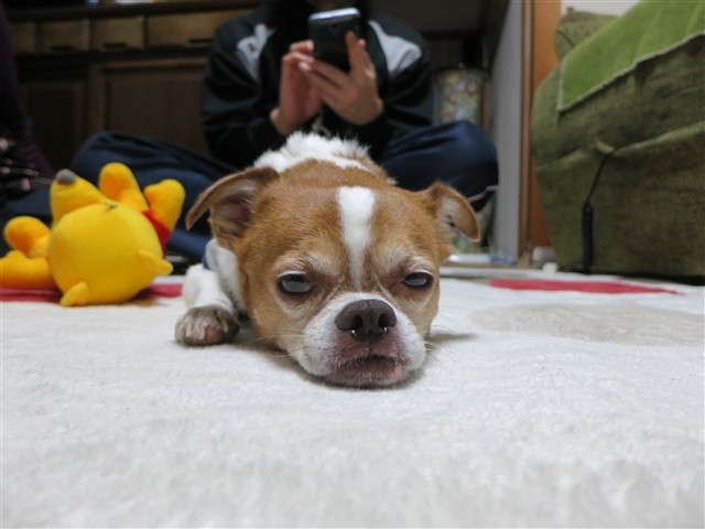 f:id:yasukazu01:20140109223642j:image