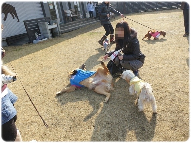 f:id:yasukazu01:20140114222440j:image f:id:yasukazu01:20140114222440j:image