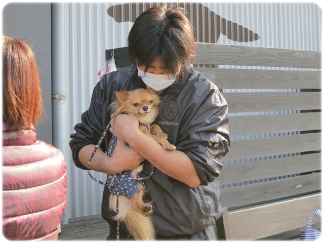 f:id:yasukazu01:20140114223741j:image f:id:yasukazu01:20140114223741j:image