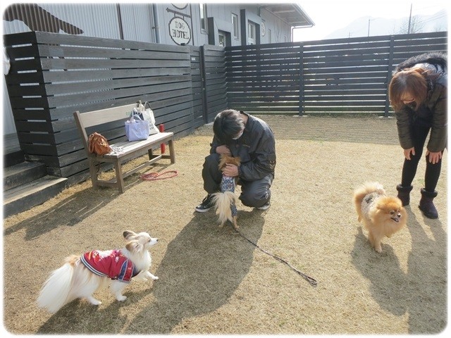 f:id:yasukazu01:20140115222902j:image