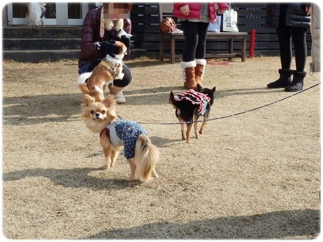 f:id:yasukazu01:20140115223258j:image