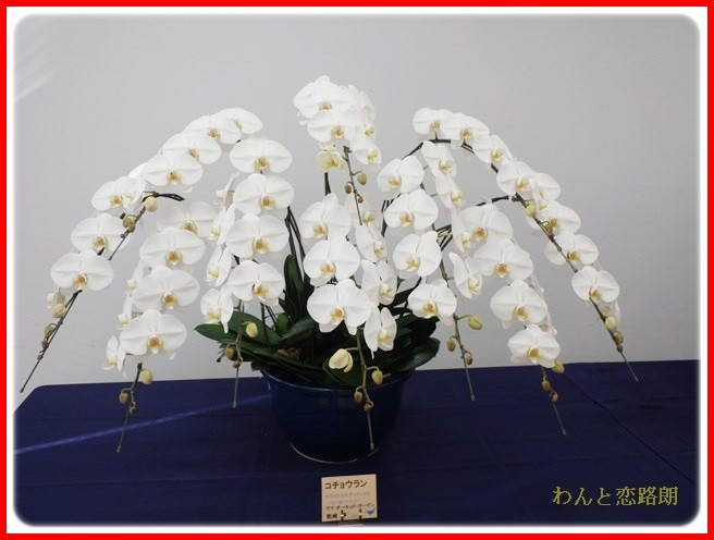 20140223204238