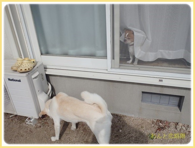 f:id:yasukazu01:20140306222941j:image