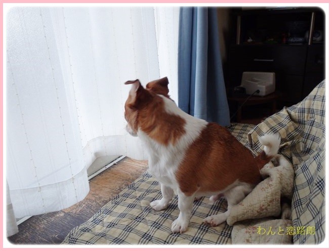 f:id:yasukazu01:20140307221244j:image