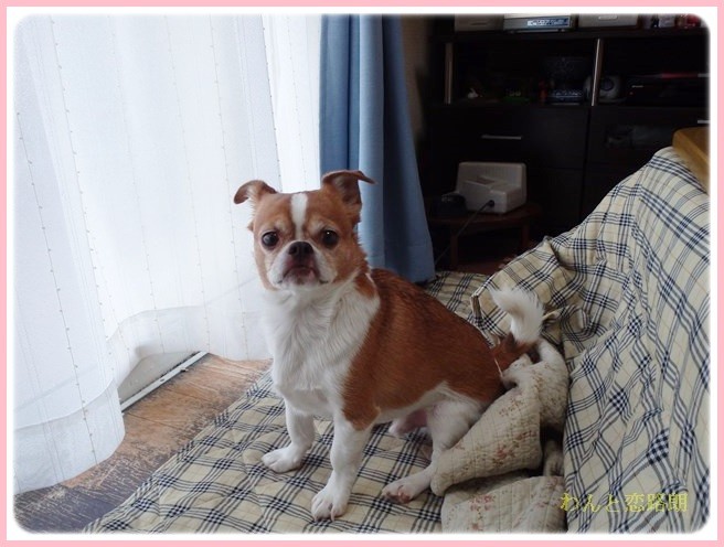 f:id:yasukazu01:20140307221245j:image
