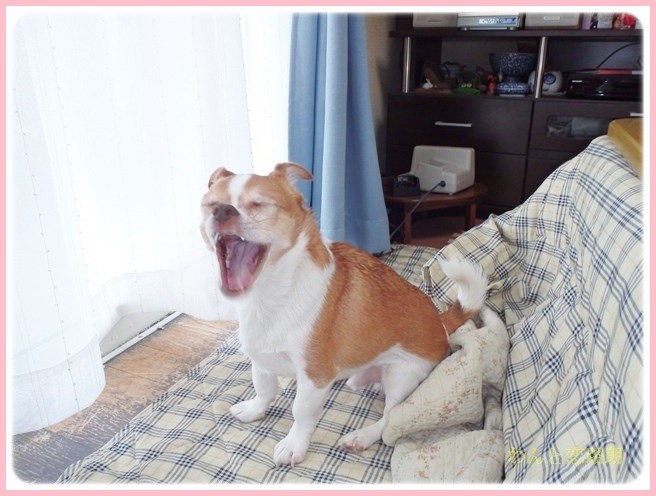 f:id:yasukazu01:20140307221246j:image