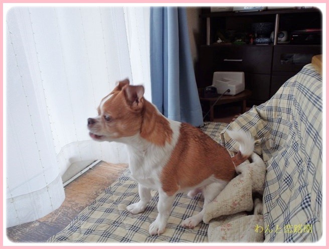 f:id:yasukazu01:20140307221247j:image