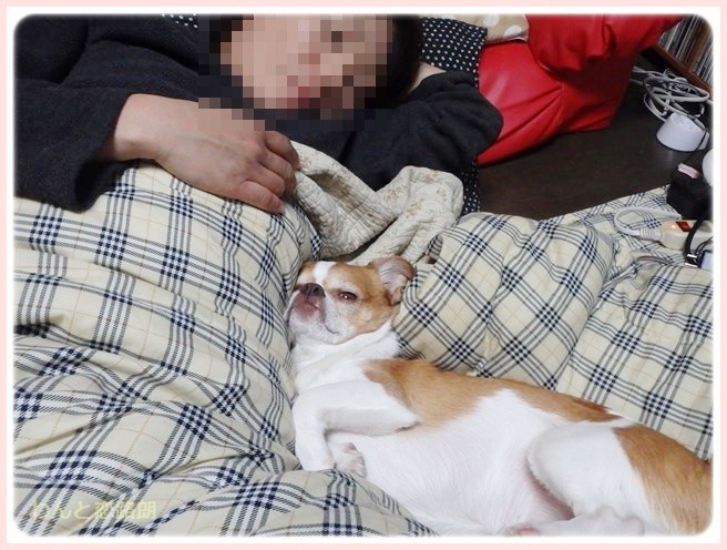 20140327222829