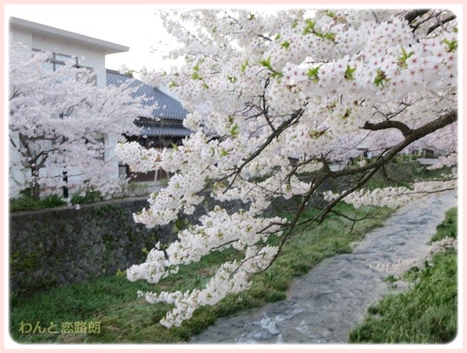 f:id:yasukazu01:20140404203230j:image