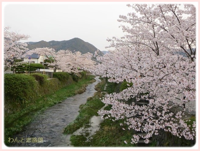 f:id:yasukazu01:20140404203231j:image