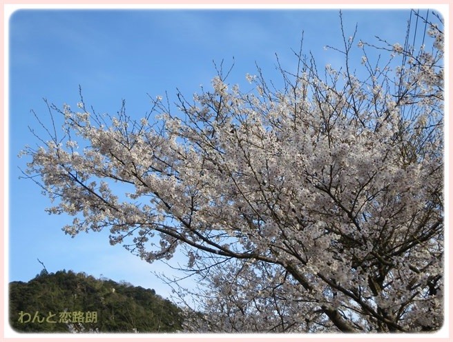 f:id:yasukazu01:20140404205129j:image