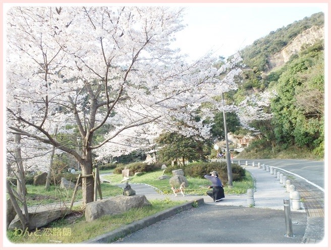 20140405215953