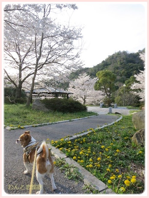 f:id:yasukazu01:20140405215954j:image