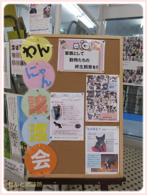 f:id:yasukazu01:20140406201421j:image
