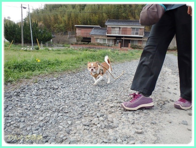 f:id:yasukazu01:20140412202007j:image