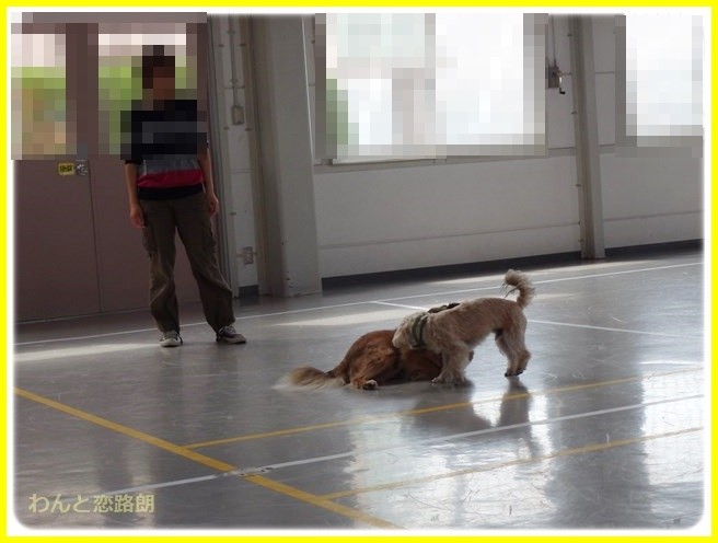 f:id:yasukazu01:20140420211657j:image f:id:yasukazu01:20140420211657j:image