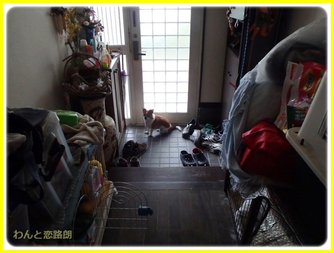 f:id:yasukazu01:20140421224257j:image