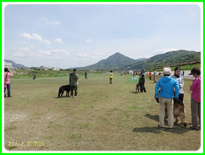 f:id:yasukazu01:20140430210531j:image f:id:yasukazu01:20140430210531j:image