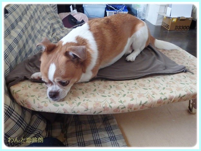 f:id:yasukazu01:20140507222151j:image f:id:yasukazu01:20140507222151j:image