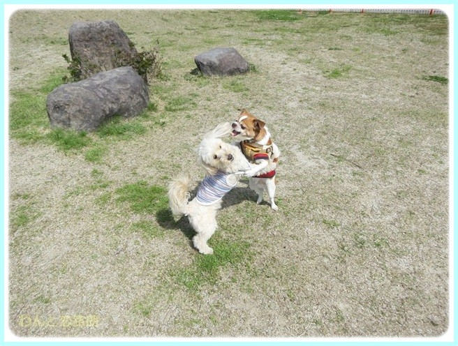 f:id:yasukazu01:20140514223215j:image f:id:yasukazu01:20140514223215j:image