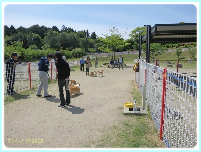 f:id:yasukazu01:20140516223632j:image f:id:yasukazu01:20140516223632j:image